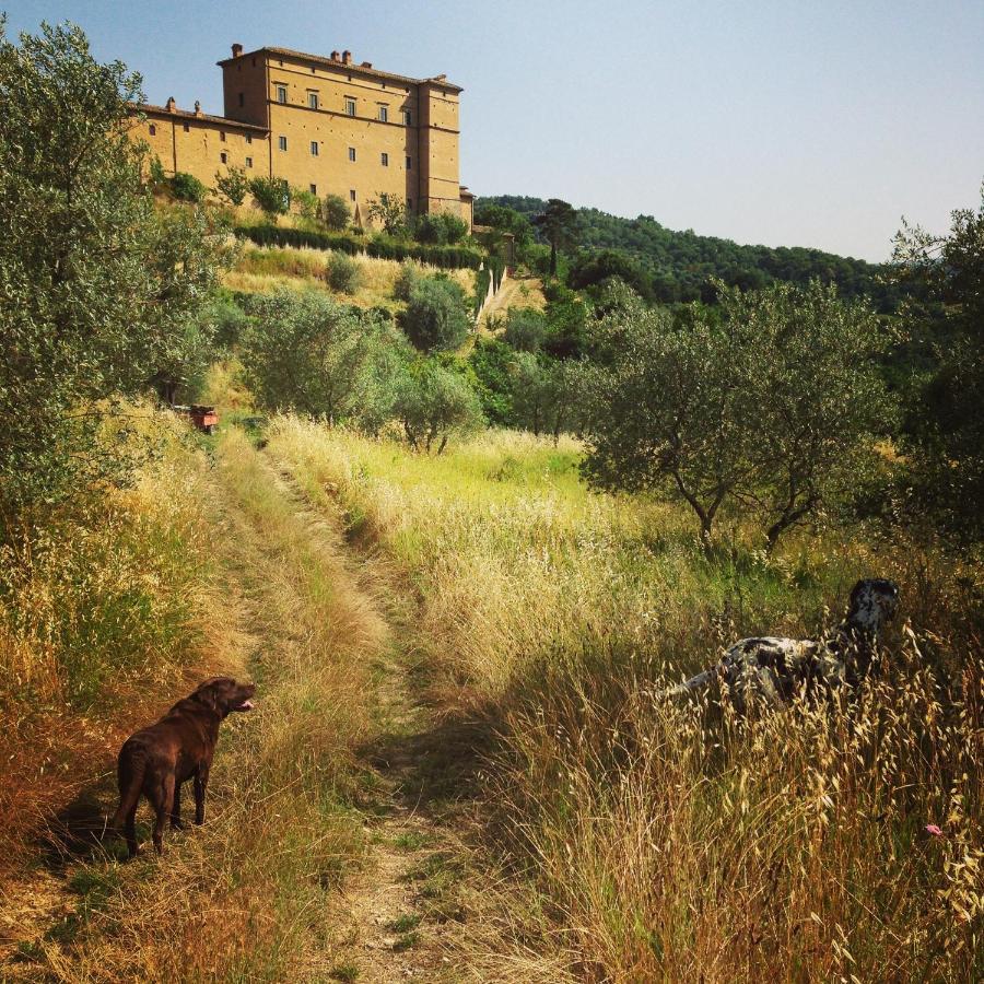 Castello Di Potentino Seggiano Buitenkant foto