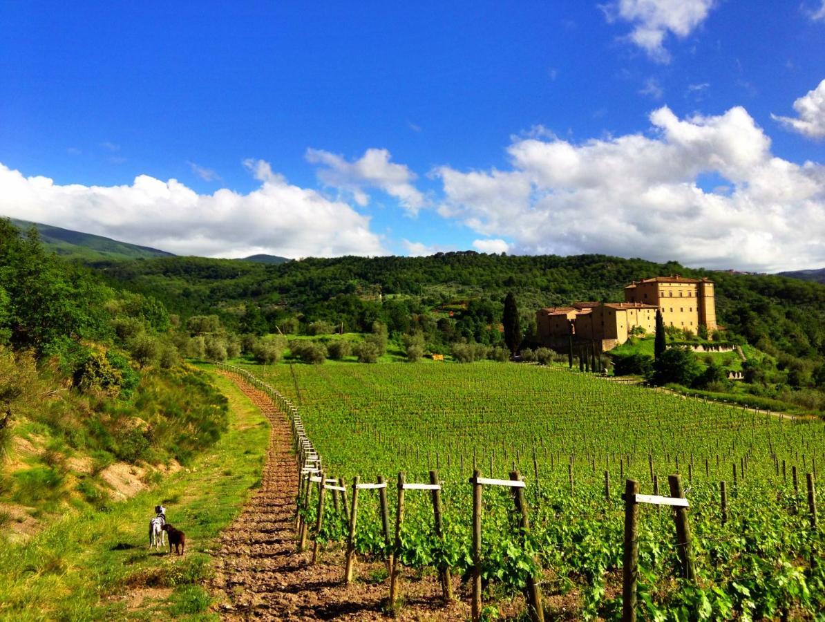 Castello Di Potentino Seggiano Buitenkant foto